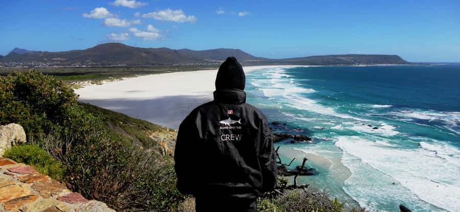 Cape Point Cape of Good Hope, Penguins Private Half day Tour - The Cape floral kingdom and local context