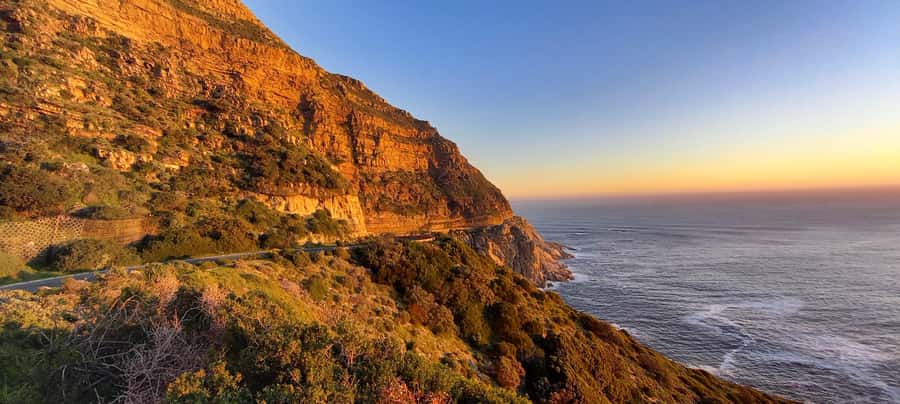 Cape Point Cape of Good Hope, Penguins Private Half day Tour - What the $165 price really covers