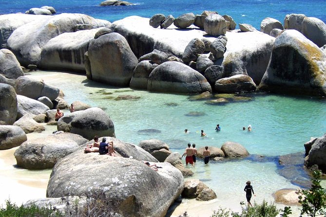 Cape Point Explore with Boulder's Penguins Small Group Day Tour - Boulders Beach adds the penguin appeal