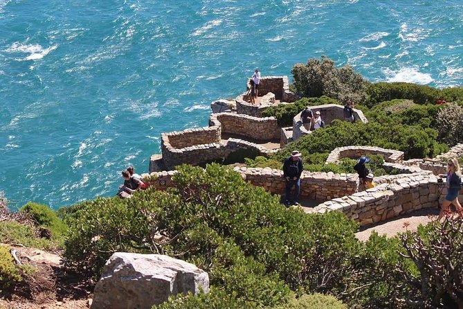 Cape Point & Penguin Explorer Tour - Why Cape Point makes this an eight-hour outing