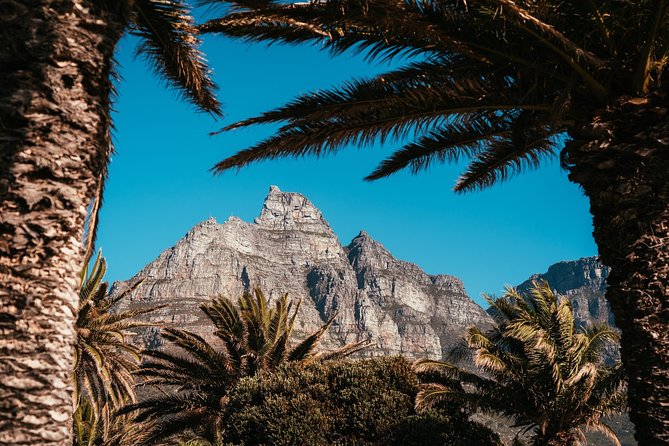 Cape Point Penguin Tour - Chapman’s Peak is a scenic drive, not just a transfer