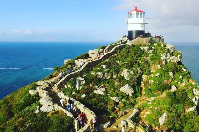 Cape Point Penguin Tour - Simon’s Town and the African penguins at Boulders Beach