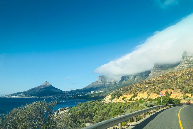 Cape Point Penguin Tour - Llandudno and Hout Bay add variety