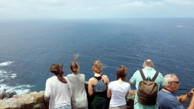 Cape Point & Penguins: Private Cape Peninsula Tour.