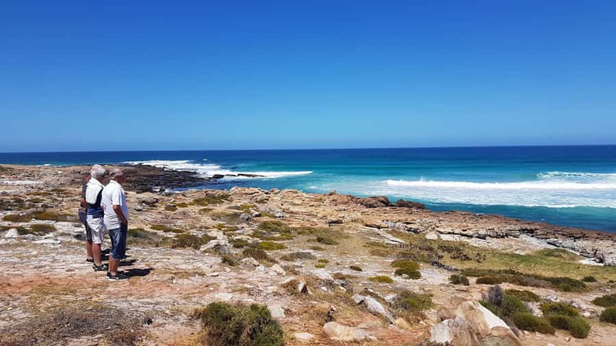 Cape Point & Penguins: Private Cape Peninsula Tour. - Chapman’s Peak and the Atlantic return