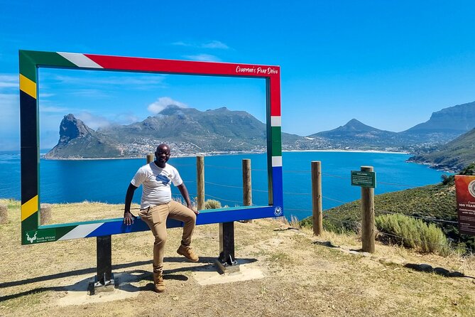 Cape Point, Penguins & Wine Tasting In Constantia Full Day Tour - Guide style and the value of local explanation