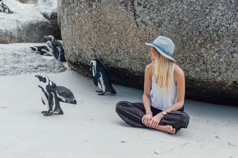 Cape Town: Boulders Penguin Colony Prebooked Entry Ticket - Why Boulders Beach is worth your time