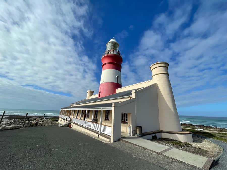 Cape Town: Cape Agulhas and Stony Point Penguin Tour - Key points at a glance