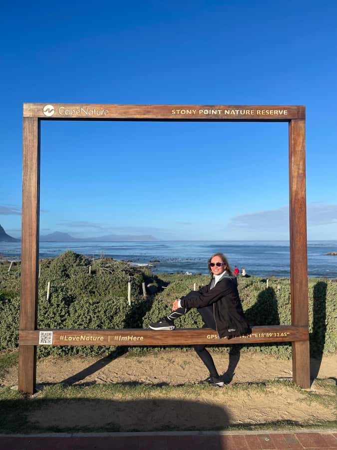 Cape Town: Cape Agulhas and Stony Point Penguin Tour - The private vehicle changes the feel of a long day