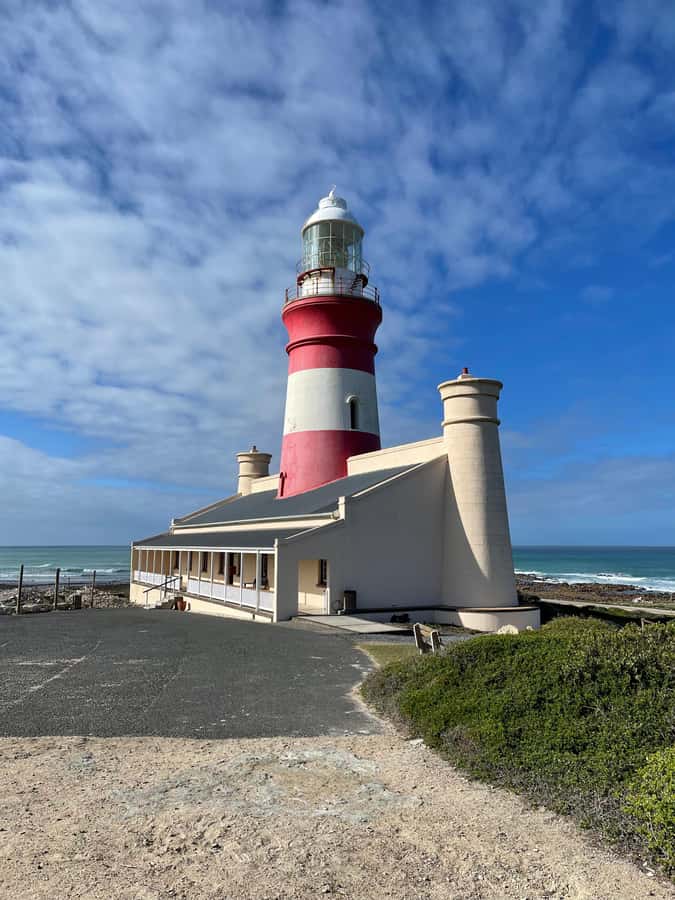 Cape Town: Cape Agulhas and Stony Point Penguin Tour - What the 10-hour schedule really means