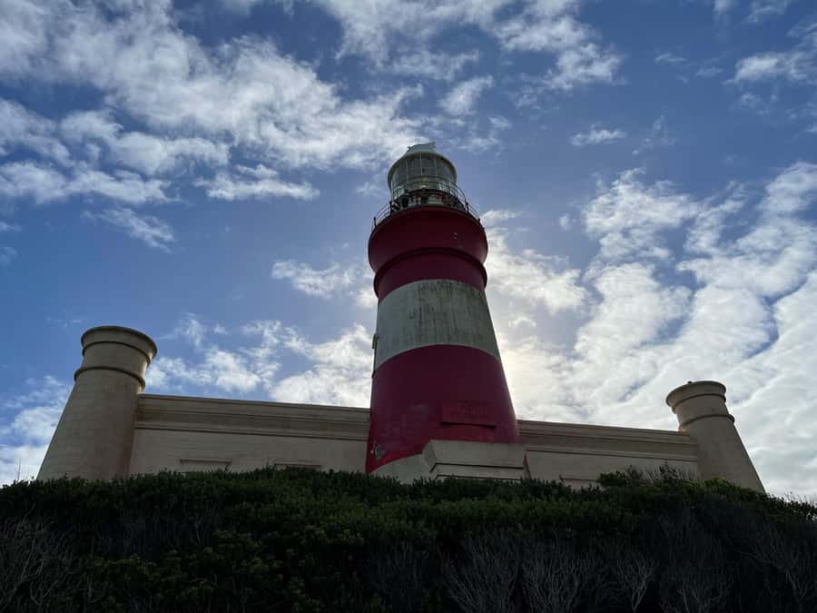 Cape Town: Cape Agulhas and Stony Point Penguin Tour - Price and what you receive for $249