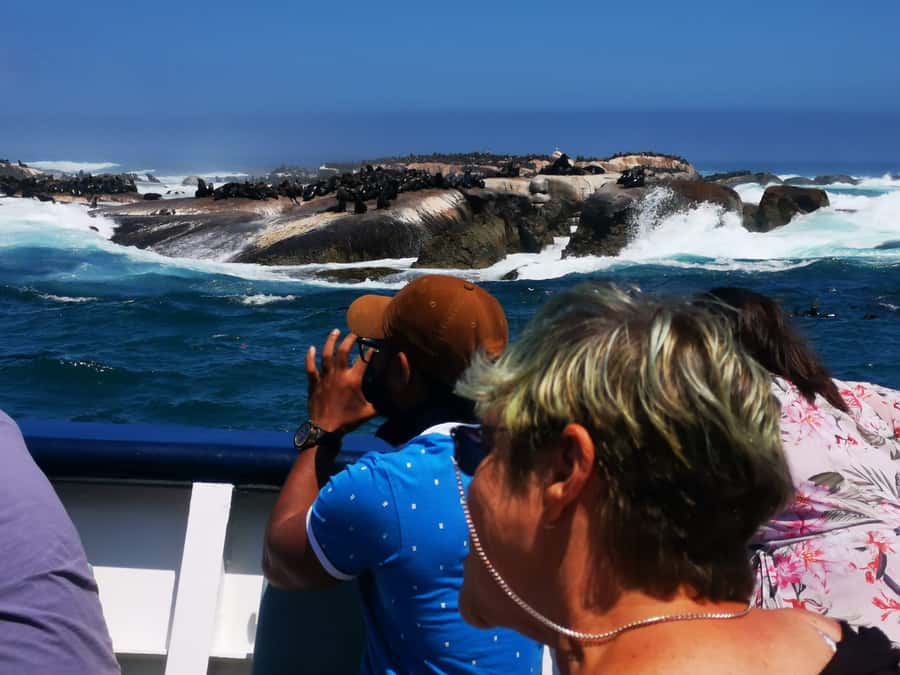 Cape Town: CAPE OF GOOD HOPE AND PENGUINS PRIVATE FULL DAY. - Cape of Good Hope Nature Reserve and Cape Point