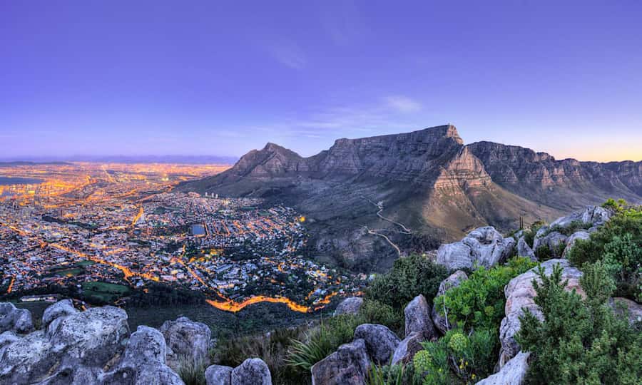 Cape Town: CAPE OF GOOD HOPE AND PENGUINS PRIVATE FULL DAY. - Lunch at Two Oceans or in Simons Town