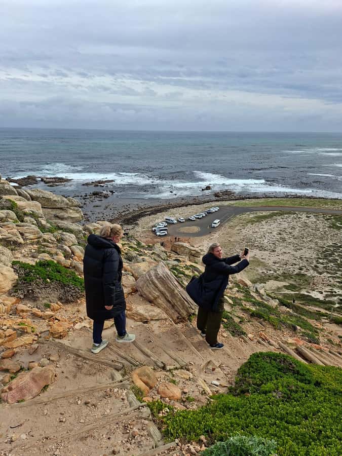 Cape Town: CAPE OF GOOD HOPE AND PENGUINS PRIVATE FULL DAY. - What the guides add to the day
