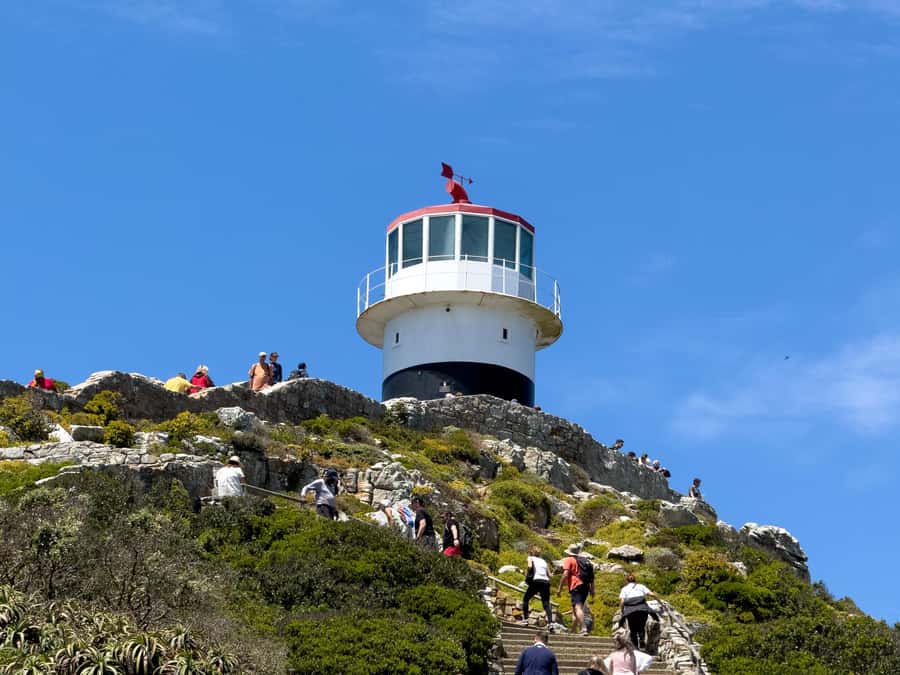 Cape Town: Cape of Good Hope & Penguin Colony Entry Ticket - The booking approach and meeting points