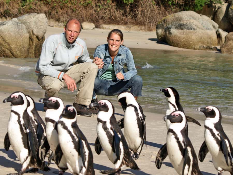 Cape Town: Cape of Good Hope & Penguins Day Tour with Pickup - Key points to know before booking