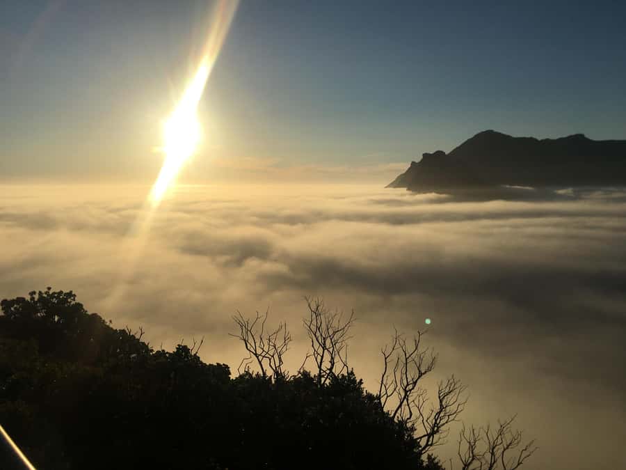 Cape Town: Cape of Good Hope & Penguins Full-Day Guided Tour - Hout Bay gives you a choice