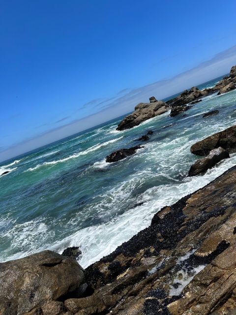 Cape Town: Cape of Good Hope & Penguins Full-Day Guided Tour - Boulders Beach and the penguin colony