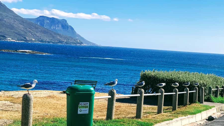 Cape Town: Cape of Good Hope & Penguins Full-Day Guided Tour - Pickup, minibus comfort, and the long day ahead
