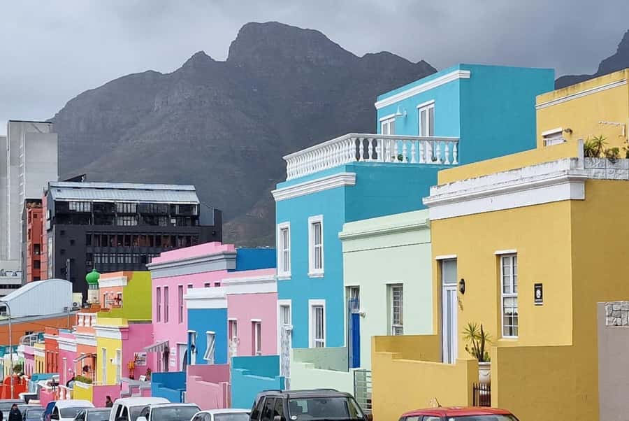 Cape Town: Cape of Good Hope, Penguins Instagram Group Tour - One long day around the Cape Peninsula