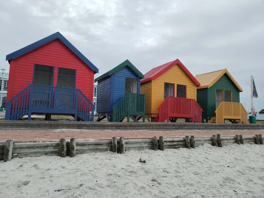 Cape Town: Cape of Good Hope, Penguins Instagram Group Tour - Chapman’s Peak Drive, a highlight from the vehicle