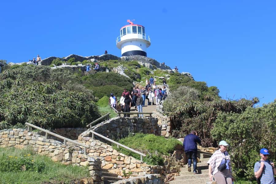 Cape Town: Cape of Good Hope & Penguins Private Scenic Tour - The six-hour timing and practical tradeoffs
