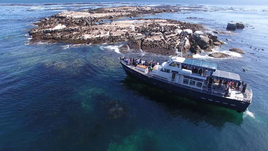 Cape Town: Cape of Good Hope, Seals and Penguins Day Tour - Starting among Cape Town’s grand coastal suburbs
