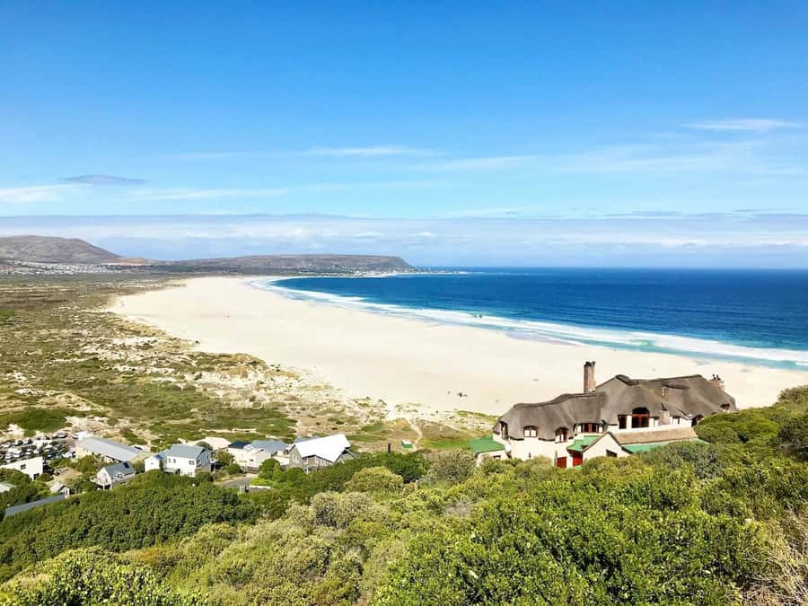 Cape Town: Cape Point and Penguin Colony Full Day Tour - Simon’s Town and the Boulders penguins