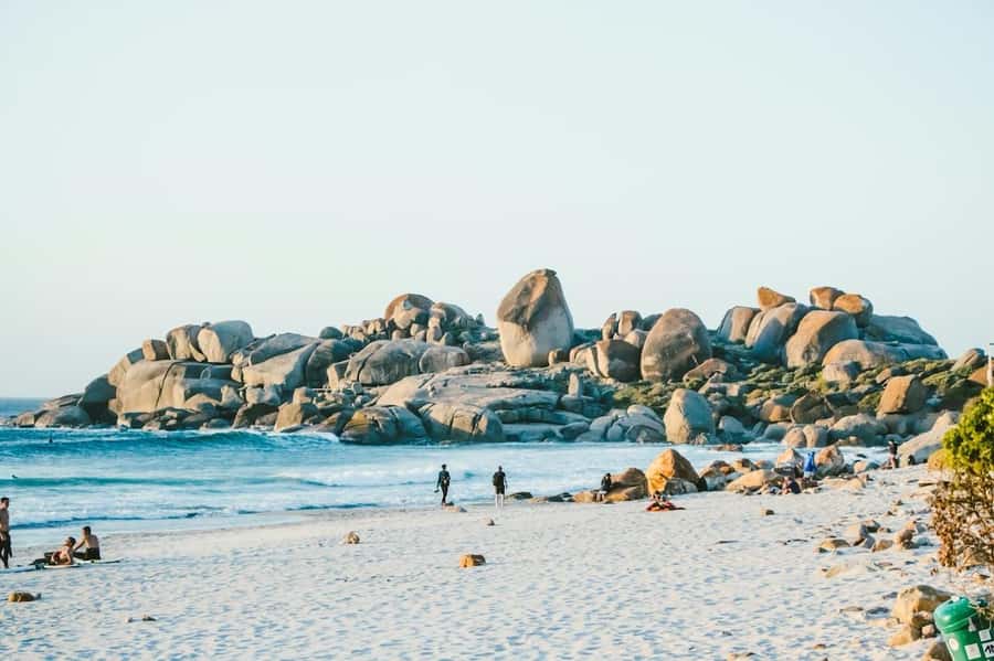 Cape Town: Cape Point and Penguin Colony Full Day Tour - Pickup times require a little care
