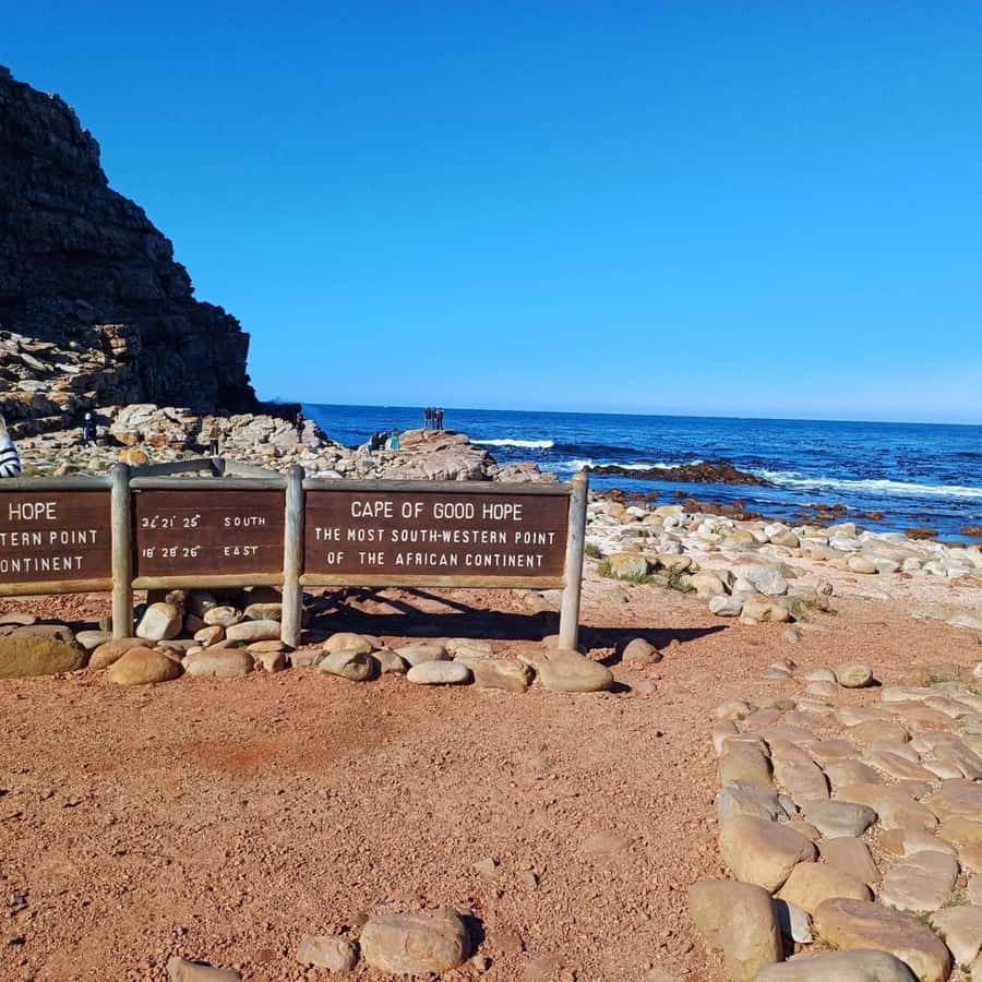Cape Town: Full Day Cape of Good Hope with Penguins Tour - Why this makes a strong Cape Peninsula day