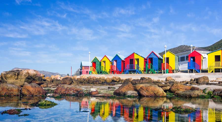 Cape Town: Full-Day Cape Peninsula and Penguins Tour - Chapmans Peak Drive and the best road views