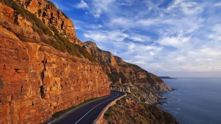 Cape Town: Full-Day Cape Peninsula Tour & Penguin Beach - City center, Bo-Kaap, and Signal Hill