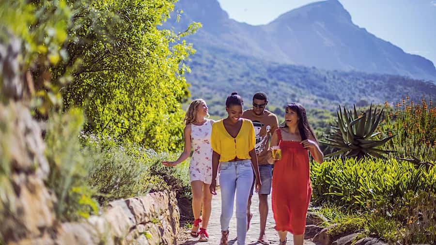 Cape Town: Full-Day Kirstenbosch, Bo-Kaap, and Penguins Tour - Chapmans Peak, Hout Bay, and the Atlantic return