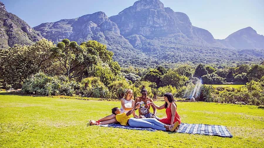 Cape Town: Full-Day Kirstenbosch, Bo-Kaap, and Penguins Tour - The vehicle, guide, and pace