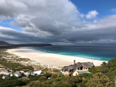 Full-Day Private Tour with Cape Point & Penguins