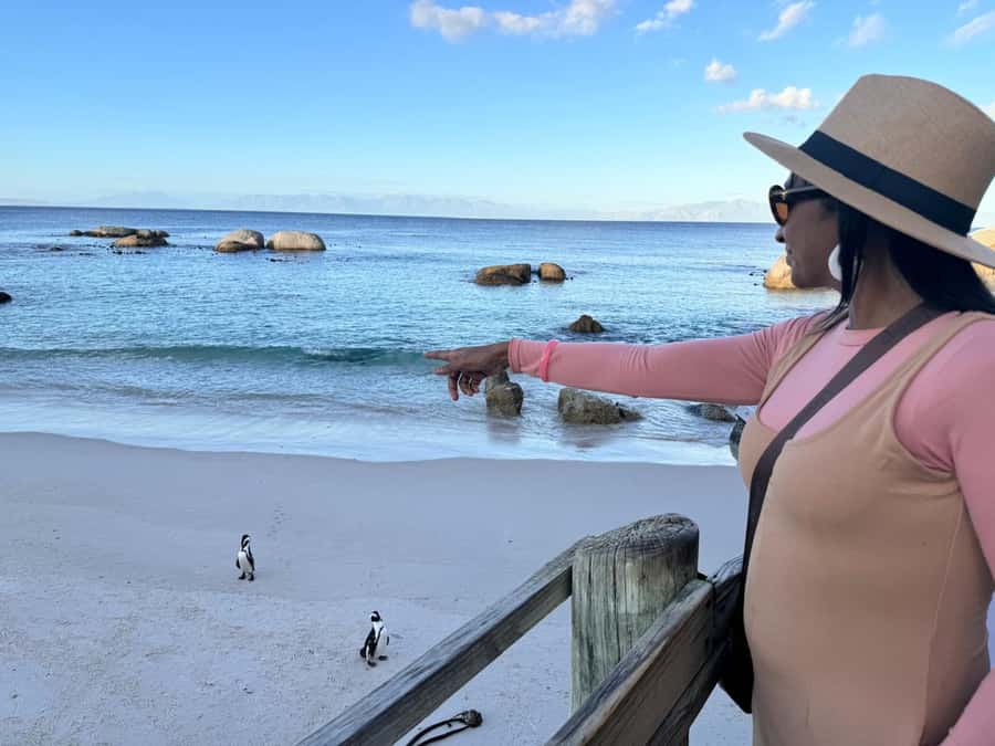 Cape Town: Half-Day Table Mountain and Penguin Group Tour - Key points at a glance