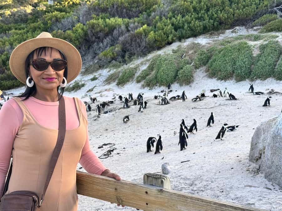 Cape Town: Half-Day Table Mountain and Penguin Group Tour - Table Mountain: the tour’s biggest prize