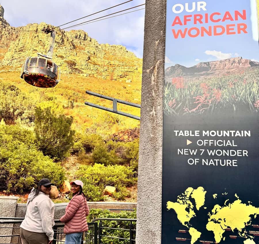 Cape Town: Half-Day Table Mountain and Penguin Group Tour - Group size, guide language, and comfort