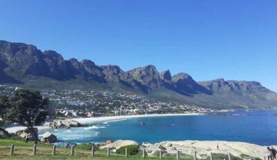 Halfday African Penguin tour