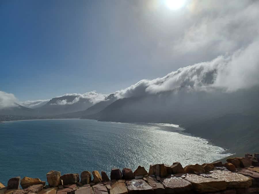 Cape Town: Halfday African Penguin tour - Small-group comfort and practical timing