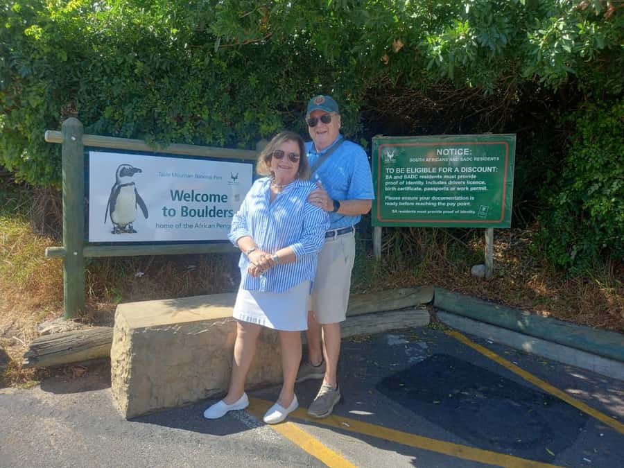 Cape Town: Penguin Watching at Boulders Beach Half Day Tour - Chapmans Peak brings the best road views