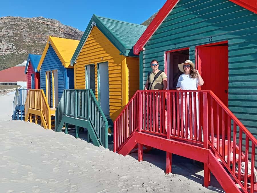 Cape Town: Penguin Watching at Boulders Beach Half Day Tour - Timing matters more than you might expect