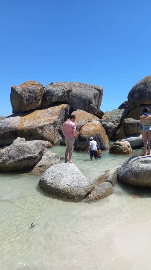 Cape Town: Penguin Watching at Boulders Beach Half Day Tour - Maidens Cove starts the coastal drive