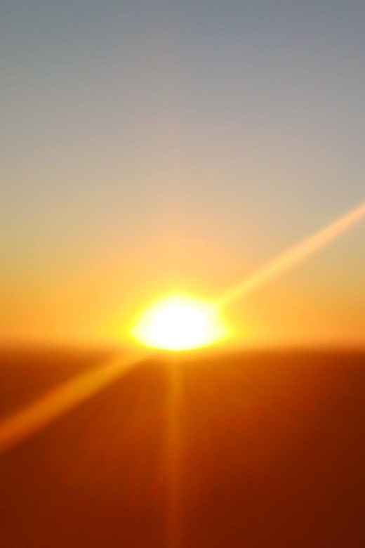 Cape Town: Penguins and Cape of Good Hope Sunset Tour - What the $38 price really buys you