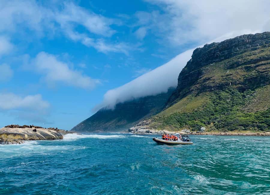 Cape Town: Penguins & Cape of Good Hope Day Tour with Pickup - A long Cape Peninsula day for a very low starting price