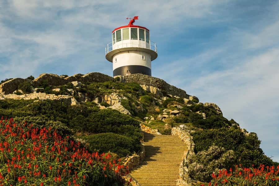 Cape Town: Penguins & Cape of Good Hope Day Tour with Pickup - Chapman’s Peak Drive, one of the day’s best stretches