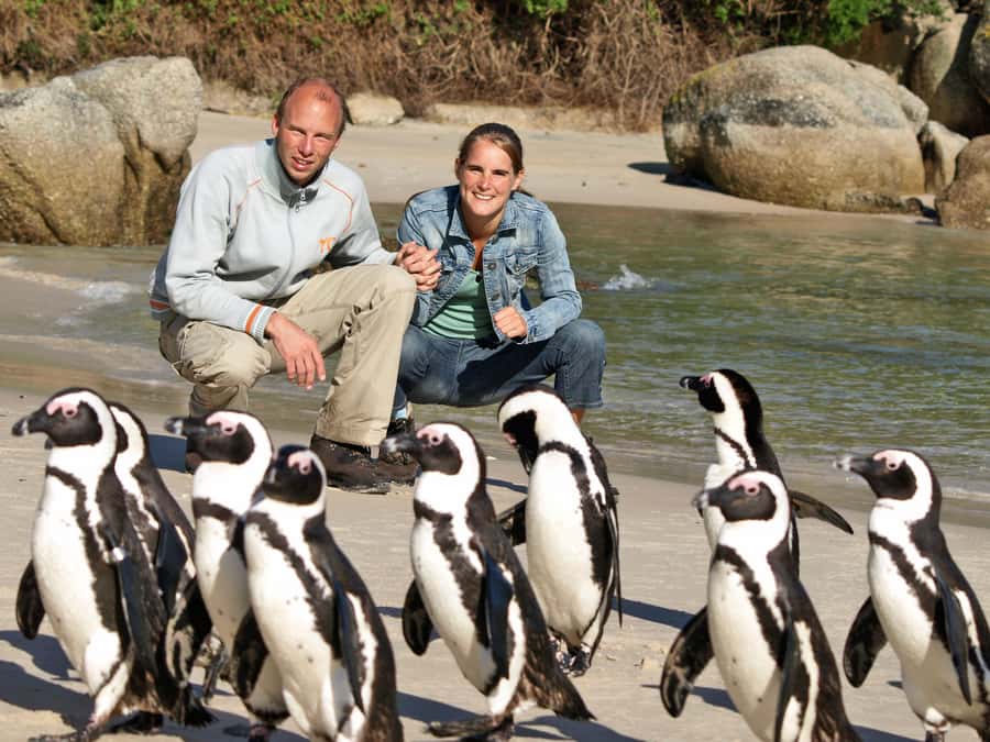 Cape Town: Penguins & Cape of Good Hope Half Day Shared Tour - Why this half-day route works