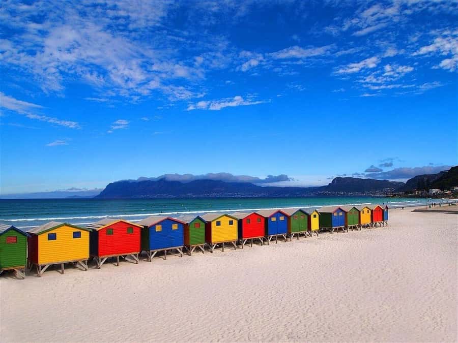 Cape Town: Penguins & Cape of Good Hope Half-Day Tour - Key points at a glance