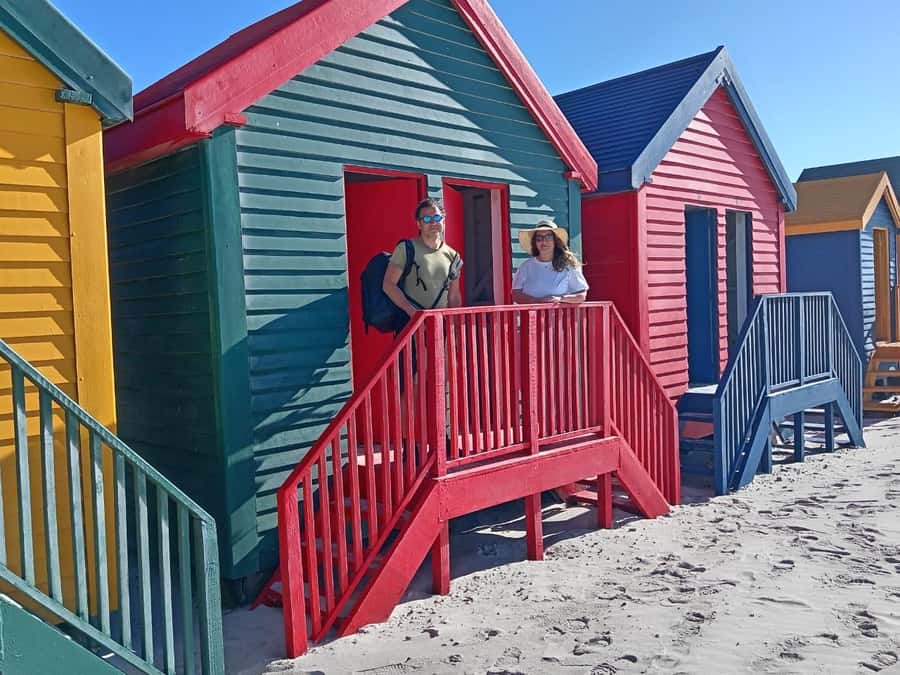 Cape Town: Penguins & Cape of Good Hope Half-Day Tour - Reaching the New Cape Point Lighthouse