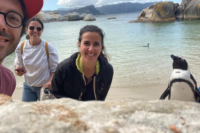 Cape Town: Peninsula, Cape of Good Hope and Penguins Tour - Boulders Beach brings you close to African penguins